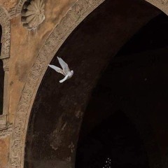 حِبّي انجَلى جَمالُه-الشيخ حسن السروجي