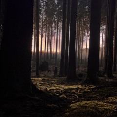 DEPRESSION & ANGST RMX