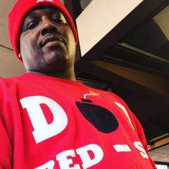 LSEE - BED STUY WHOA!