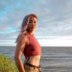 Dreamy Driving Vocal Sunset Vibe Progressive House