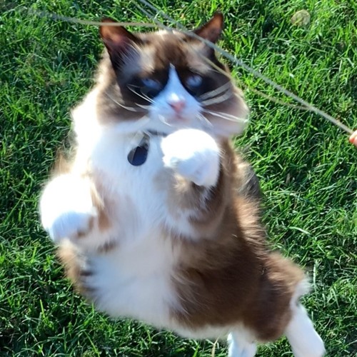 Bright As The Stars - by Kathi Fran Copans & Roi Aknin (acoustic demo)