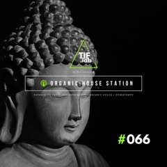 Zen Organic House #066 - Melodies for the Mind | 🛋️ Deep Focus dj mix session 慢摇
