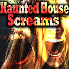 Haunted House Screams