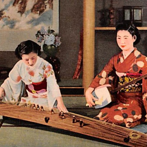 STBB 776 - Koto