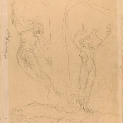 The Siren Song of the Sea Witch