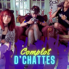 Complot D'chattes