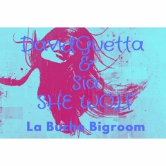D.Guetta & Sia - She Wolf (La Buche Bigroom Remix)