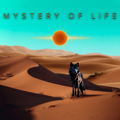 Mystery Of Life