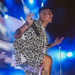 DUKI MOLLY FILTRADO