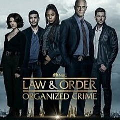 The Auction Is Here - Law & Order Organized Crime S3