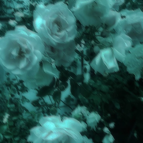 my deep feelings are like dying flowers