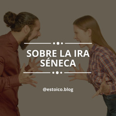 Sobre la Ira: La Guía de Séneca para Controlar la Emoción Destructiva