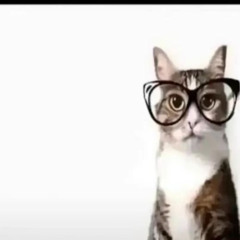 kim jestem? (geekum)