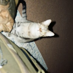 Molima - Think'in Bout U (Pitched Up)