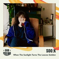 soo:k - When The Sunlight Turns The Leaves Golden [FEEL008]