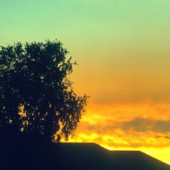 sunrise (demo)