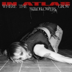 In Atlas - Where The Wildflowers Grow ( Preview )