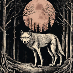 lupine lore