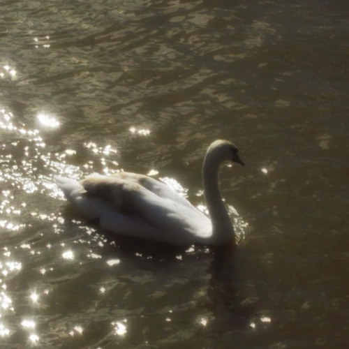 tell me Prod. by kingxbeatz