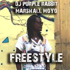 DJ Purple Rabbit & Jay Walker & Marshall - Police Deh ( out now on Beatport etc)