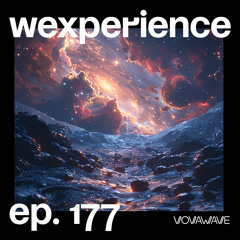 WExperience #177
