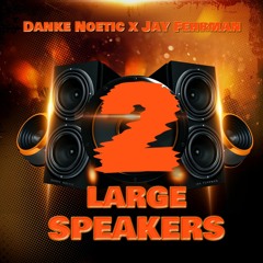 Danke Noetic x Jay Fehrman - 2 LARGE SPEAKERS