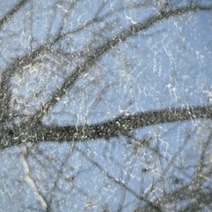 MAJ - LDR (Prod @snowballbeats_)