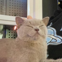 geister (prod. 7ventus)