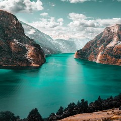 Tilró Mínn - Adhesion (Adapt Remix)