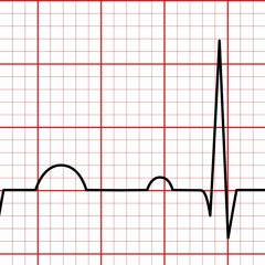 Sinus Rhythms 2021