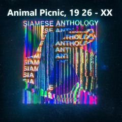 Animal Picnic, 19:26 - XX