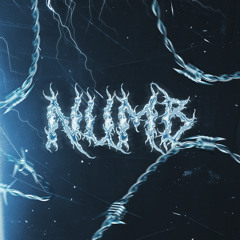 Seeko, New Beat Order, Anika, KROMA - Numb (Slowed)