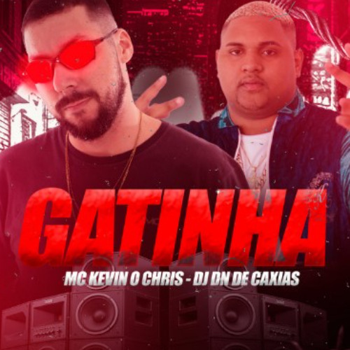 MC KEVIN O CHRIS - GATINHA -  (( DJ DN DE CAXIAS )) - REMIX BREGADEIRA