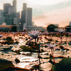 Kahel na Langit - Maki (Short Cover)