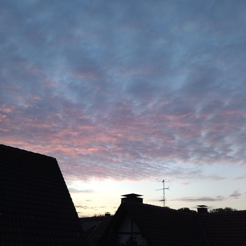 Morgengrau