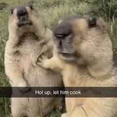 Greedy - Tate Mcrae cover.