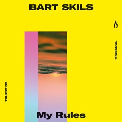 Bart Skils — Crusing Waves — Truesoul — TRUE12132