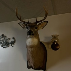 King of the Hill