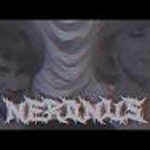 БУХГАЛТЕР PHONK EDITION