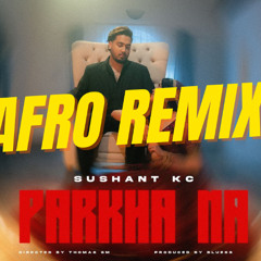 Parkha Parkha Afro Remix