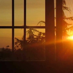 Crazy Sun