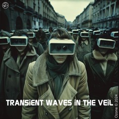 TRANSiENT WAVES IN THE VEiL