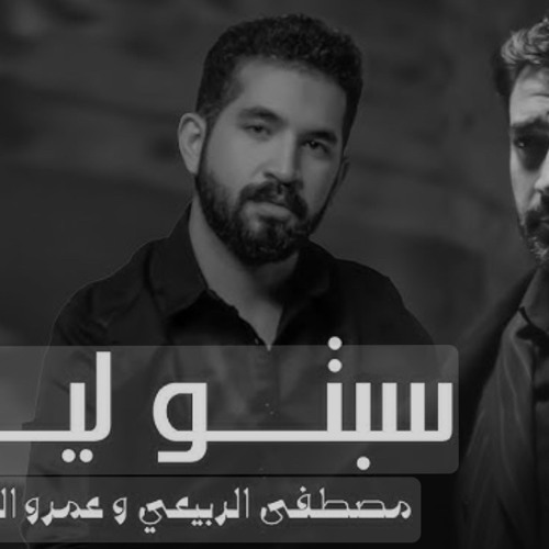 مصطفى الربيعي و عمرو الشاذلي سبتو ليه 2025