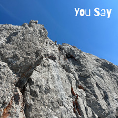 You Say
