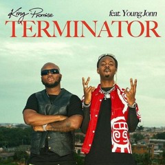 TERMINATOR - DARTHA X DJ ADEBY [EXTENDED] VIP