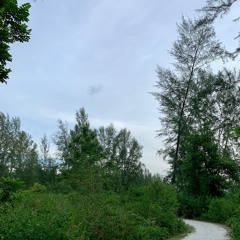 Greed (Jiwoo) - Short cover