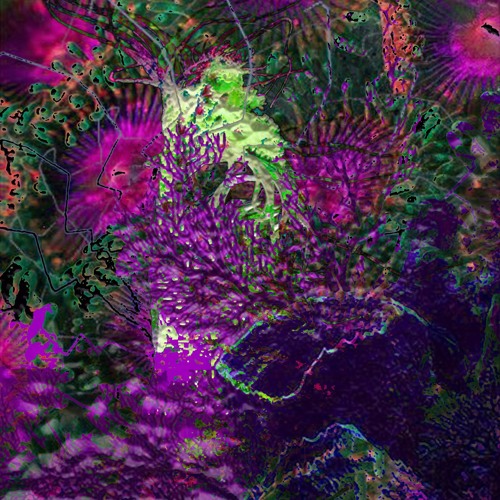 Manifestation // Tangerine