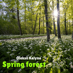 Spring forest