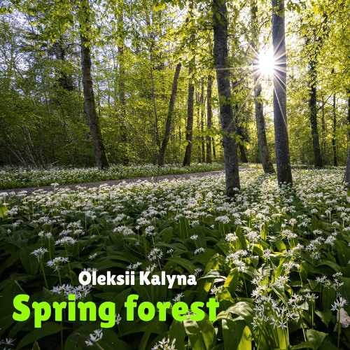 Spring forest