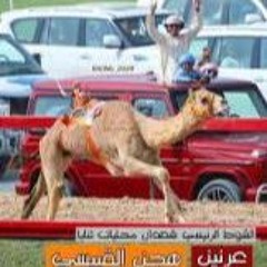 شيلة عرنين اداء مسفر السندوانه  طرب  حصري 2023 HD